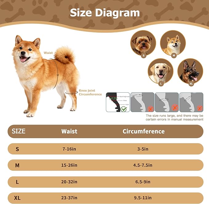 Dog Hip Brace for Hip Dysplasia, Adjustable Dog Hip Support Brace with Targeted Compression, Stabilizes Joints, Relieves Pain from Arthritis, L
