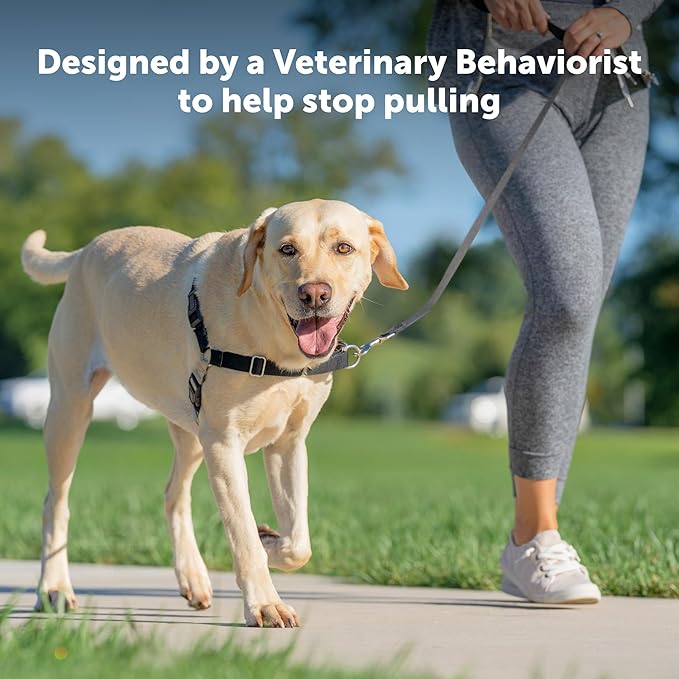 PetSafe Easy Walk Harness for Dogs - Pull-Free Walks - Patented Martingale Loop Design - Front Chest Leash Attachment - Adjustable Comfort Straps - Breathable Harness Design - Large, Black/Silver