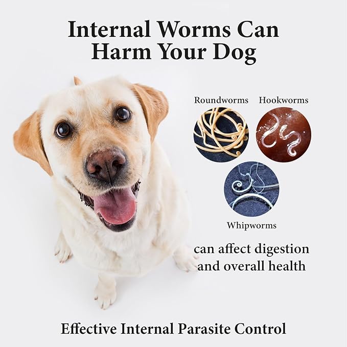 No More Worms in Dogs - Say Good Bye to Worms in Dogs -Dewormer for Dogs and Puppies - 120mls Chicken Flavour with 3ml