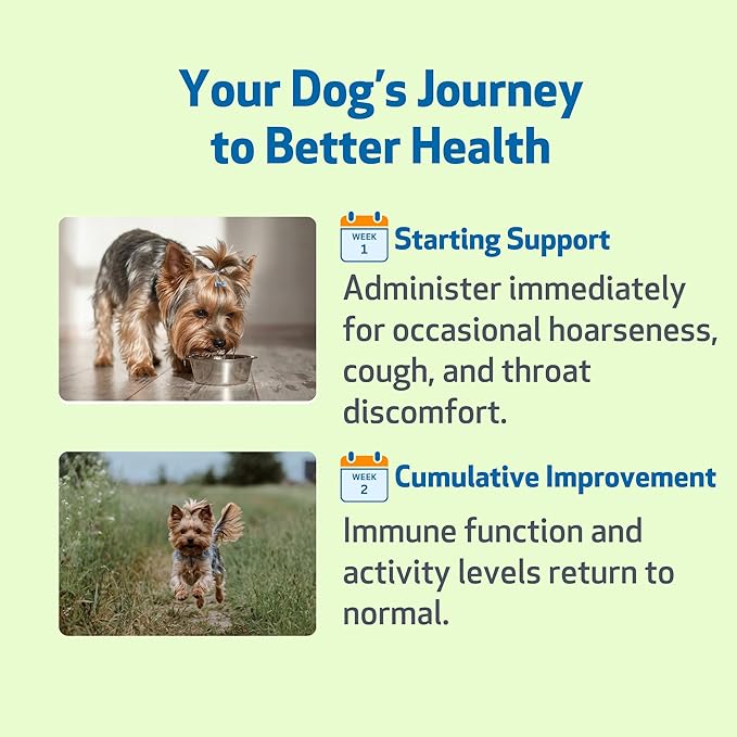 Pet Wellbeing Throat Gold for Dogs - Supports Collapsed Trachea & Throat Discomfort with Mullein & Slippery Elm for Kennel Cough - NASC Certified & Vet-Formulated 2 oz Liquid Formula