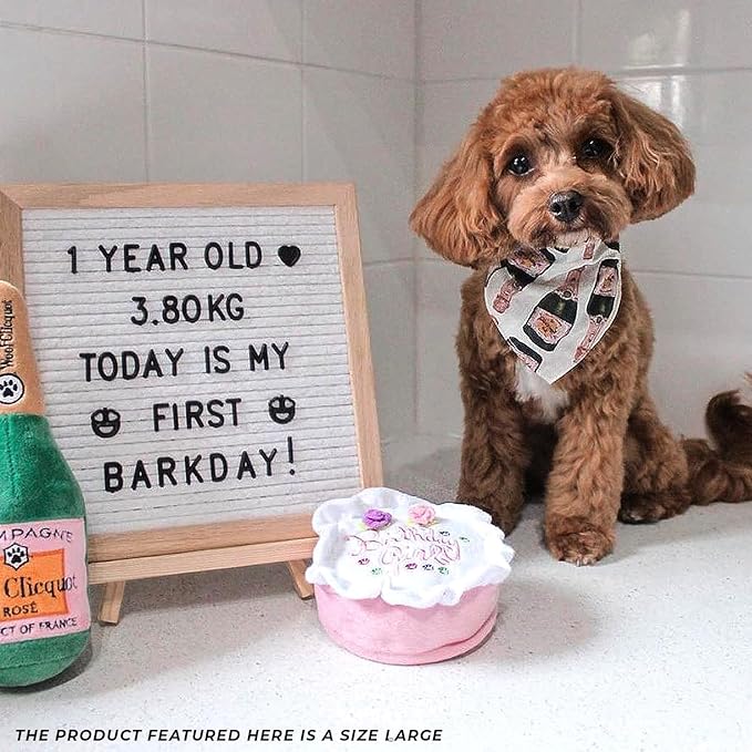 Haute Diggity Dog Birthday Girl Cake, Plush Designer Dog Toys with Interactive Squeaker, Stimulating Pet Enrichment, Machine-Washable & Safe Materials for All Breeds, Size Large