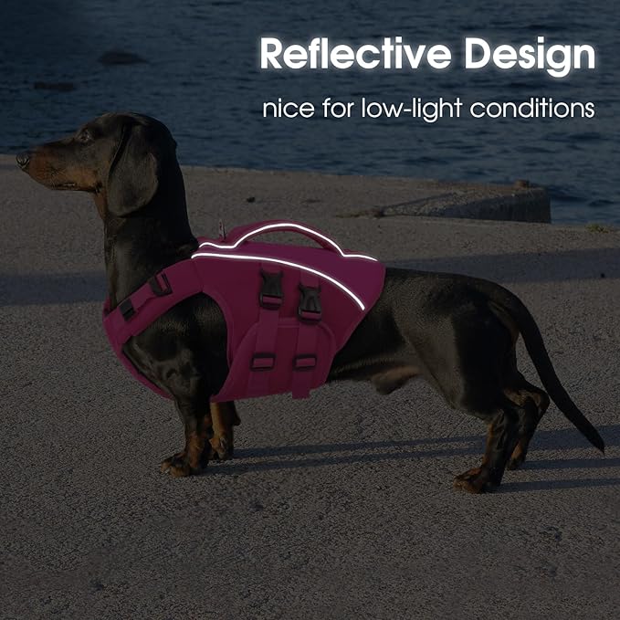 Queenmore Dog Life Jacket, Adjustable Ripstop Dog Life Vest for Swimming Boating, Pet Lifesaver with Superior Buoyancy and Rescue Handle, Pet Swimming Safety Vest(Rosered,L)