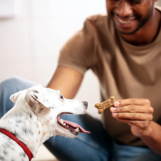 Milk-Bone Flavor Snacks Dog Treats, Small Biscuits, 24 Ounce