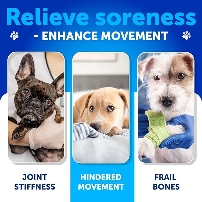Glucosamine for Dogs - Hip and Joint Supplement for Dogs with Arthritis - Chews with Chondroitin, Hemp Oil, MSM - Canine Joint Pain Relief Health - Mobility Support for Large Breeds - 180 Soft Treats