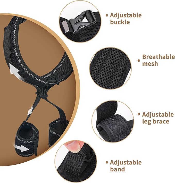 Dog Hip Brace for Hip Dysplasia, Adjustable Dog Hip Support Brace with Targeted Compression, Stabilizes Joints, Relieves Pain from Arthritis, M
