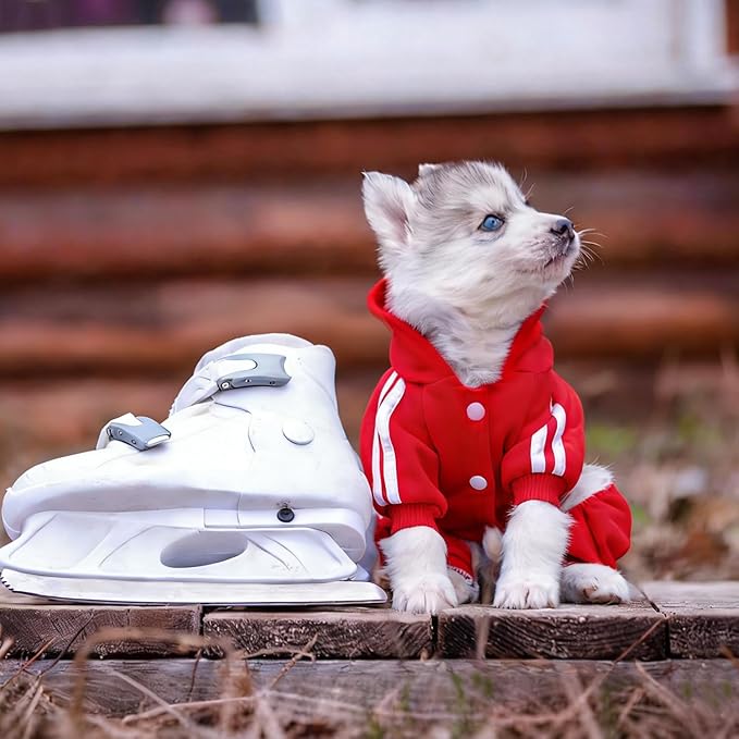 Dog Hoodie Security Clothes 4 Legs Dog Jumpsuit Sweatshirt Hoodies Soft & Warm Dog Outfit Pullover Dog Winter Clothes Sweater for Small Medium Large Dogs Cats (Red, Medium)