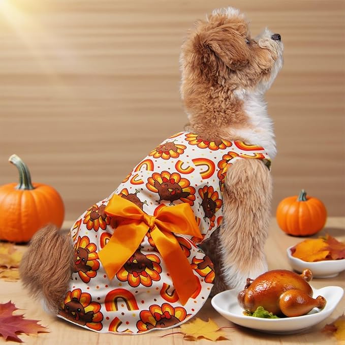 Thanksgiving Turkey Dog Dress, Cute Fall Holiday Pet Outfit for Small and Medium Dogs Autumn Harvest Costume for Puppy Girls and Boys