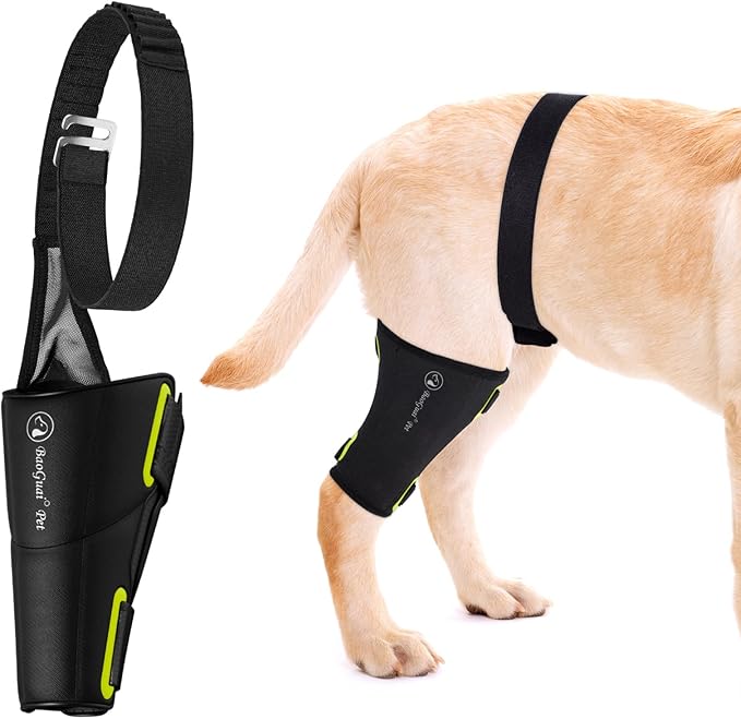 Dog Knee Brace Pro, for Dogs ACL, Luxating Patella,Dog Hip Brace for Back Leg - Keeps The Joint Warm and Stable - Extra Support - Reduces Pain（M）