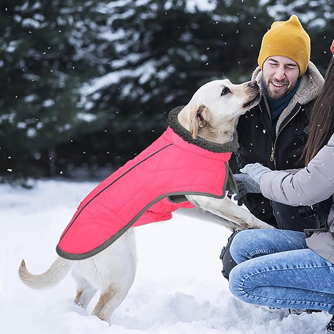 Fragralley Dog Coat Large, Waterproof Dog Jacket with Warm Fleece Lining, Adjustable Reflective Dogs Winter Coat, Turtleneck Pet Coats for Cold Weather (Pink L)