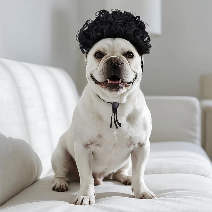 1 Pcs Funny Pets Wigs for Dog, Funny Black Curly Dog Wig Adjustable Pet Wigs for Halloween Pet Costume Accessories for Halloween, Christmas, Parties, Festivals Cosplay