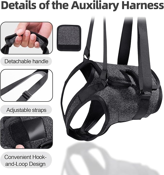 Dog Sling for Large Dogs Hind Leg Support, Adjustable Soft Padded Harness for Weak, Injured, or Disabled Back Legs, Helps Support Senior, Arthritic, and Mobility-Impaired Dogs (Medium)