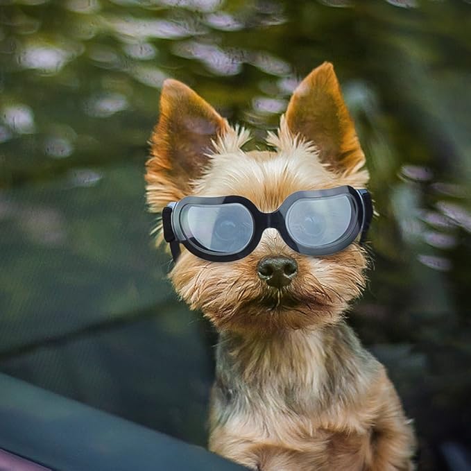 ENJOYING Dog Sunglasses Small Breed, Anti-UV Puppy Goggles for Small Dogs, Windproof Outdoor Dog Eye Protection for Driving Biking, Adjustable Head Straps, Cool Black