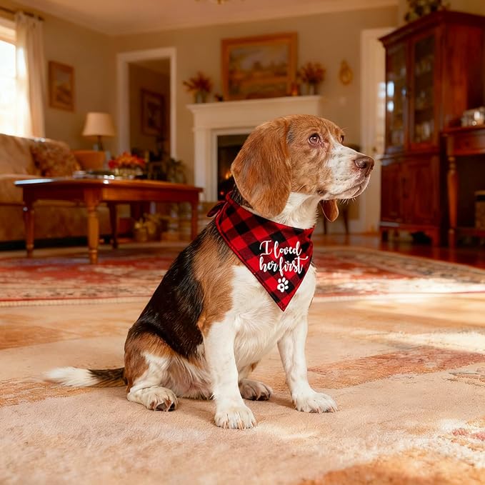 Funny Cute Engagement Red Plaid Pet Dog Cat Bandana Scarf I Loved Her First for Dog Lover Owner Wedding Photo Props