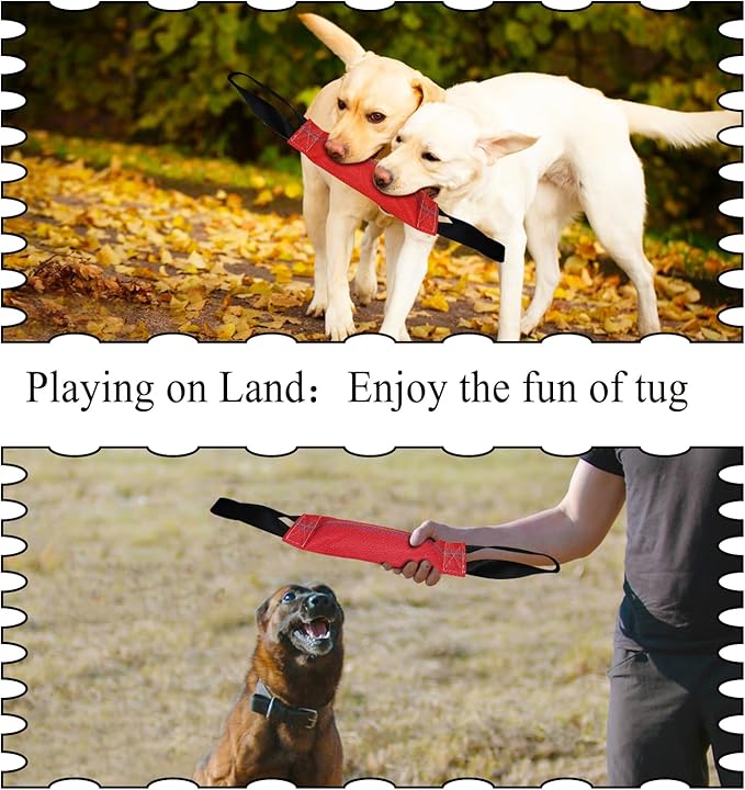 Floating Dog Toy for Pool, Medium & Large Dogs, Lightweight Interactive Tug of War, Fetch & Retrieving Water Toy for Beach, Dock Diving & Outdoor Training