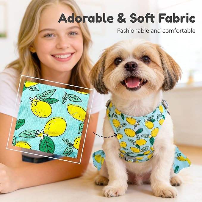BAEJMJK Dog Dress Bowknot Harness Leash Set for Small Dogs Cats Girl Floral Princess Dog Dresses Cute Puppy Fruit Clothes Pet Doggy Outfits Spring Summer Breathable Dresses(Green,Small)