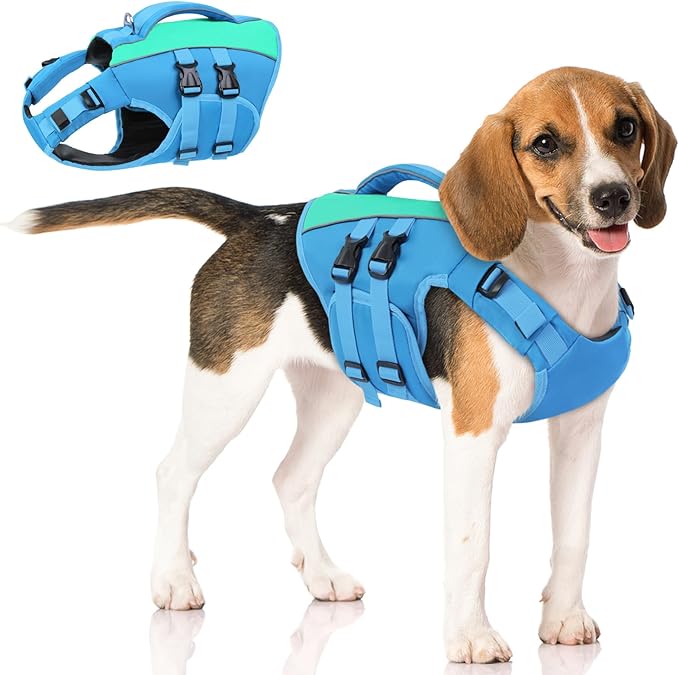 Queenmore Dog Life Jacket, Adjustable Ripstop Dog Life Vest for Swimming Boating, Pet Lifesaver with Superior Buoyancy and Rescue Handle, Pet Swimming Safety Vest(Blue,L)