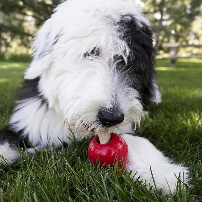 Kong Peanut Butter Treats Combo - Includes Kong Easy Treat Spray, Snacks & Enhanced Ziggies - Medium/Large Dogs