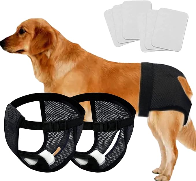 Every Pet Reusable Diapers with 3 Replace Diaper,Breathable Mesh Washable Dogs Sanitary Pads,Menstruation Diapers Panties Adjustable Sanitary Briefs for Small Medium and Large Dogs(2PCS Black,Small)