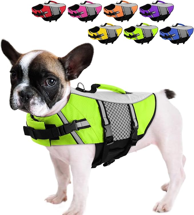 Queenmore Dog Life Jacket Small Float Vests for Swimming Boating Kayaking Mediumn Puppy Dogs Cats Neoprene Life Preserver Pet Water Lifesaver Lightweight Reflective Green,XS