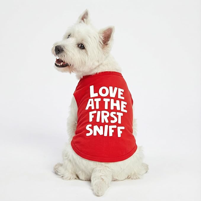 Fitwarm Love at First Sniff Dog Shirt - Summer Dog Clothes, Funny T-Shirt, Lightweight Breathable Cotton, Red, Small