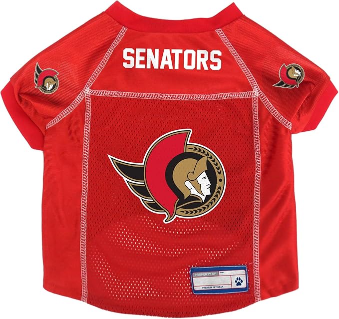 Littlearth NHL Detroit Red Wings Basic Pet Jersey, Team Color