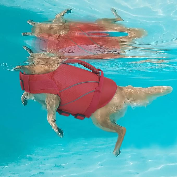 Queenmore Large Dog Life Jackets, Reflective Dog Swimming Vest with Enhanced Buoyancy, High Visibility Pet Life Preserver with Front Neck Float, Pet Life Vest for Boating (Red,2XL)