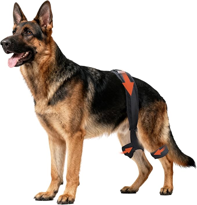 Dog Hip Brace for Hip Dysplasia, Adjustable Dog Hip Support Brace with Targeted Compression, Stabilizes Joints, Relieves Pain from Arthritis, XL
