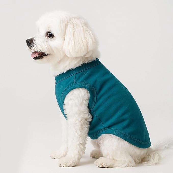 2 Pieces Dog Clothes for Small Dogs Girl Boy Chihuahua Clothes Summer Puppy Soft Dog Shirt Solid Color Pet Clothing Cute Cat Cloth, XXS,Green,Blue