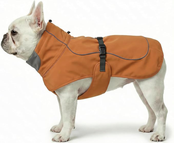 Softshell Dog Winter Vest, Fleece Lined Water-Repellent Jacket with Fur-Safe Buckle (No Hook & Loop) for Hiking, Adjustable Reflective Winter Coat for Active Dogs (Aurantium, Small)