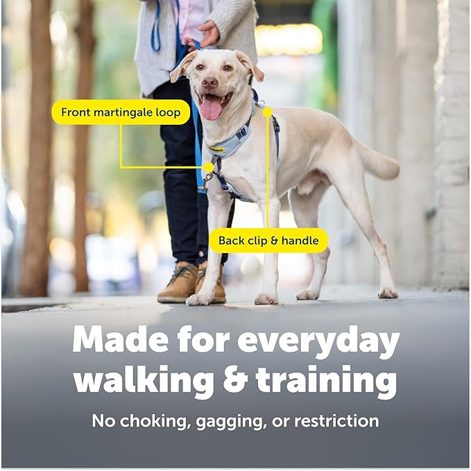 PetSafe Easy Walk Comfort No-Pull Dog Harness - Better Walk Training Harness - Full Body Padded Design - Durable Fabric - 5 Point Adjustable Fit - Everyday Leash Training - Green - Large