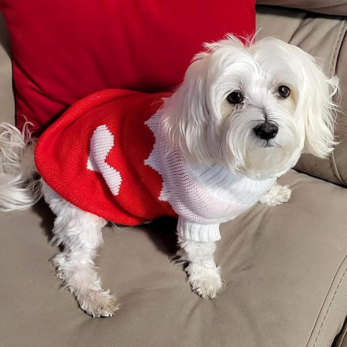 CHBORCHICEN Pet Dog Sweaters Classic Knitwear Turtleneck Winter Warm Puppy Clothing Cute Strawberry and Heart Doggie Sweater (Red2, XX-Small)