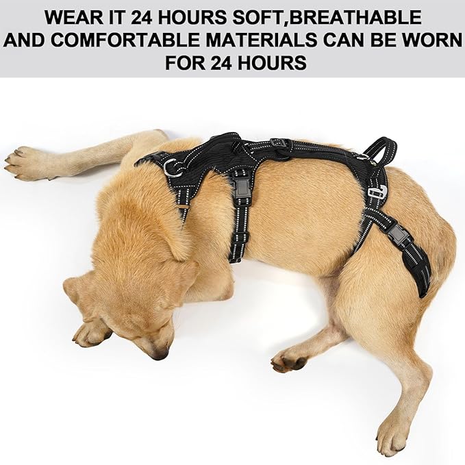 COODEO Mobility Dog Lift Harness, Support Sling & Walking Sling for Dogs, Pet Rear Leg Rehabilitation Support Vest, Dog Carrier for Senior Dogs with Joint Injuries, Arthritis, Up Stair (Black, S)