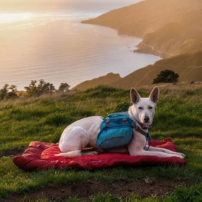 Kurgo Loft Wander Dog Bed - Travel-Friendly Comfort Roll - Durable Water Resistant Top - Microtomic Ripstop Material - Portable Bed Roll - Non-Slip Bottom - Chili Red - Medium