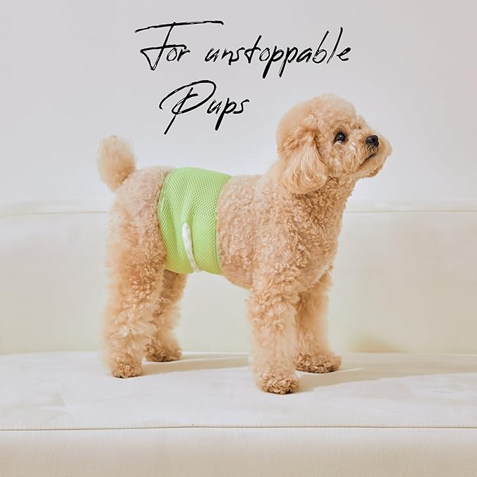 WICKEDPUP Male Dog Belly Band Kit, 50 Diaper Pads & 1 Reusable Male Wrap (Size 1 (14"-17.5" Waist))