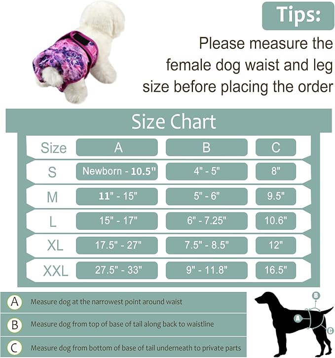 Female Dog Diapers - Premium Reusable Diapers for Doggie in Heat - Highly Absorbent for Pet Incontinence with Adjustable Snaps Butterfly, M