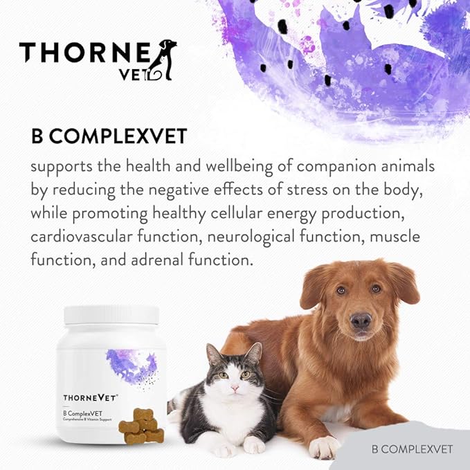ThorneVet B ComplexVet and Canine Geriatric Basics Soft Chews Bundle
