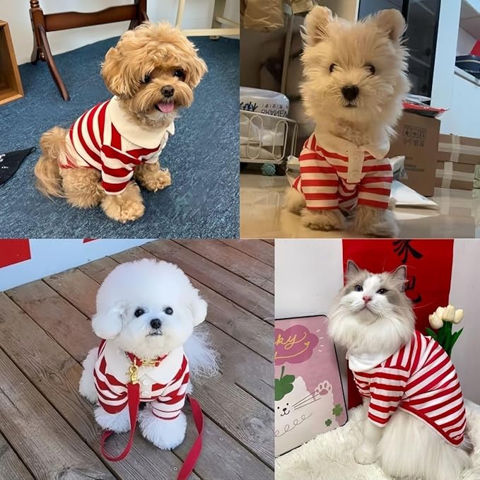 MANON ROSA Dog Clothes, Designer Boy Polo Shirt for Small Medium Dogs, Soft Puppy Outfit, Breathable Male Yorkie Chihuahua Shih Tzu Poodle Kitten Cat T-Shirt, Birthday Gifts - Red, XL, Fit 12-16.5lbs