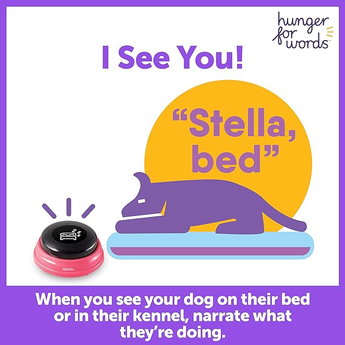 Hunger For Words Talking Pet Next Words Locations - 3 Piece Set of Recordable Speech Buttons for Dogs, Dog Buttons for Communication