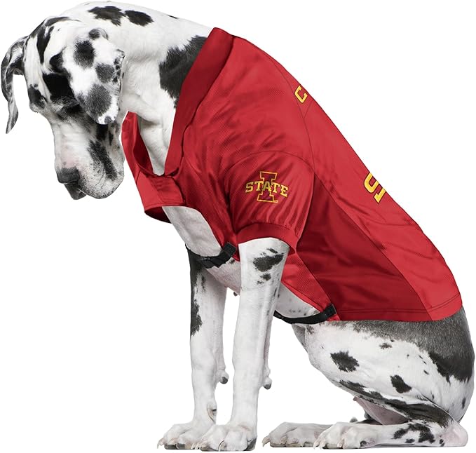 Littlearth NCAA Iowa State Cyclones Stretch Pet Jersey for Large Dogs, Team Color, Big Dog