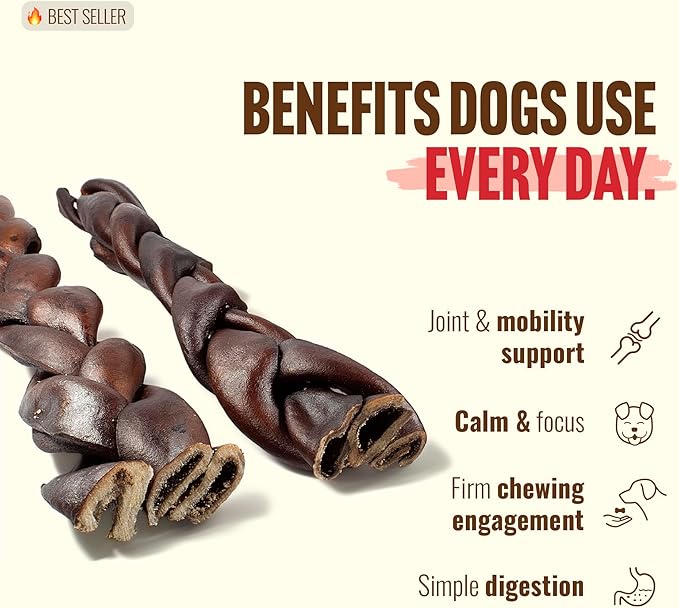 Natural Farm Odor-Free Super Braided Collagen Dog Chews (12-Inch, 5-Pack) First Ever Real Bull Sticks Alternative: 100% Natural Angus Hide Collagen Treats - More Protein, More Chew Time for All Dogs