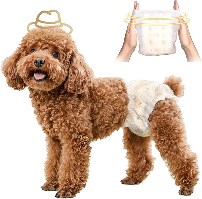 Disposable Dog Diapers Female, 360°Leak-Proof Full Wrap Stretchy Waist, Highly Absorbent Diapers for Female Dog in Heat, Dog Diapers for Period (XS 10PCS)