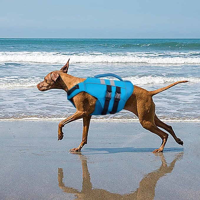 Kuoser XXL Dog Life Jacket, High Flotation Large Dogs Water Vest for Swimming Boating, Reflective Doggie Swim Vest Pet Life Preserver with Rescue Handle, Blue XXL
