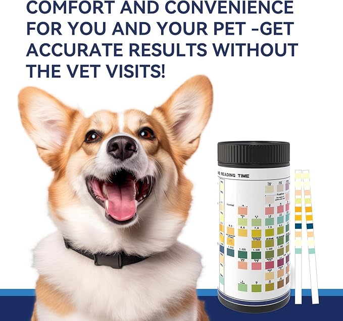 Reagent Strips for urinalysis Cat & Dog Urine Test Strips 10-Parameter 100ct, Diabetes, Blood Ketone, UTI, Glucose, Nitrite, Specific Gravity, pH, Protein, Leukocycles & More.1 Pack