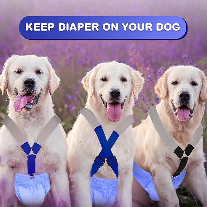 Saintrygo 2 Pcs Dog Suspenders for Diapers Female Male Belly Bands Canine Harness Keep Diaper on Your Pet for Small Medium and Large Dogs(Black, Blue,Medium)