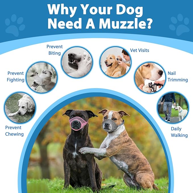 LUCKYPAW Dog Muzzle Suits for Small Medium Large Dogs, Mesh Muzzle Anti Biting Chewing, Breathable Mouth Cover Set with Adjustable Strap for Grooming Vet Visiting Training (Medium 3 PCS(M-XL), Grey)
