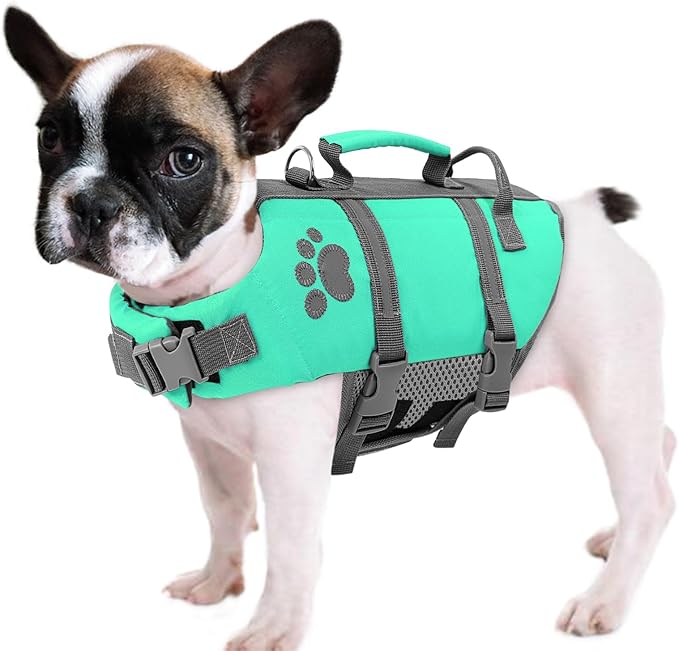 Queenmore XS Dog Life Jacket, Lightweight Puppy Life Vests for Small Dogs & Cats, Pet Lifejackets for Swimming, Boating & Water Plays with Rescue Handle, Leash Hook & Reflective Stripes