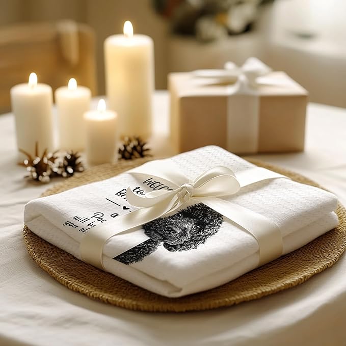 Cabana Bro Funny Black Poodle Bathroom Hand Towels, Poodle Gifts for Women Men, Dog Lover Gifts, Welcome to The Bathroom Decorative Hand Towels for Bath Room Washroom, 16x24 Inch Set of 2