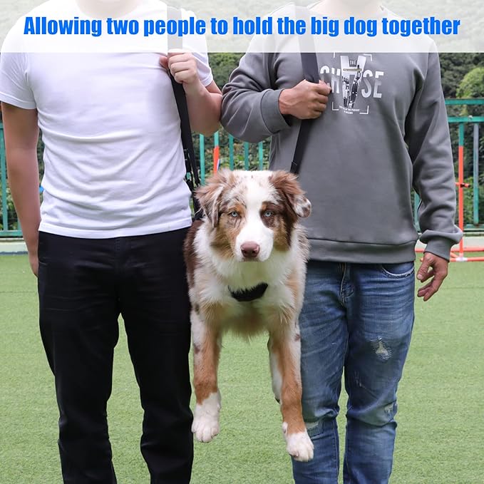 Dog Carry Sling, Emergency Backpack Pet Legs Support & Rehabilitation Dog Lift Harness for Large Dogs, Dog Carrier for Senior Dogs Joint Injuries, Arthritis, Up and Down Stairs (Blue, XL)