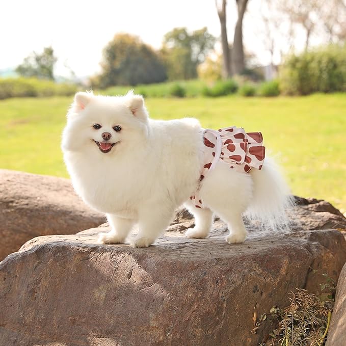 Reusable Dog Diapers Female 3 Pack Doggie Diapers for Period Heat Incontinence Puppy Training (Small, Animal Print)