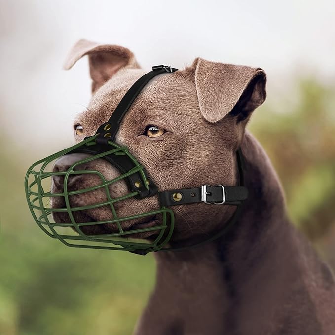 Pitbull Dog Muzzle Metal Mask Amstaff Secure Wire Basket Adjustable Durable Leather Straps for Large Dogs (Green)